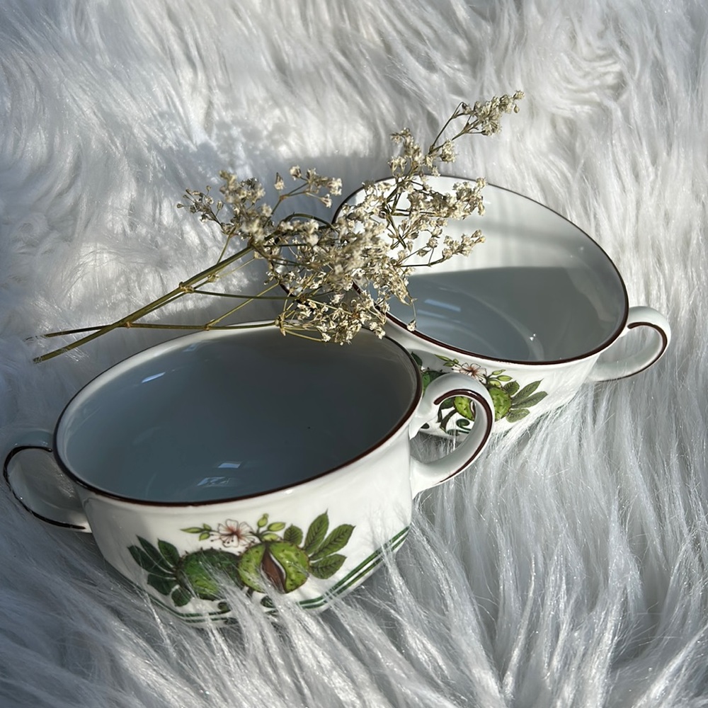 Rare Vintage avocado art design soup bowls 2pc